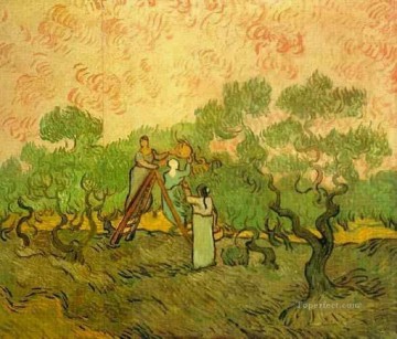 Recogida de aceitunas Vincent van Gogh Pinturas al óleo